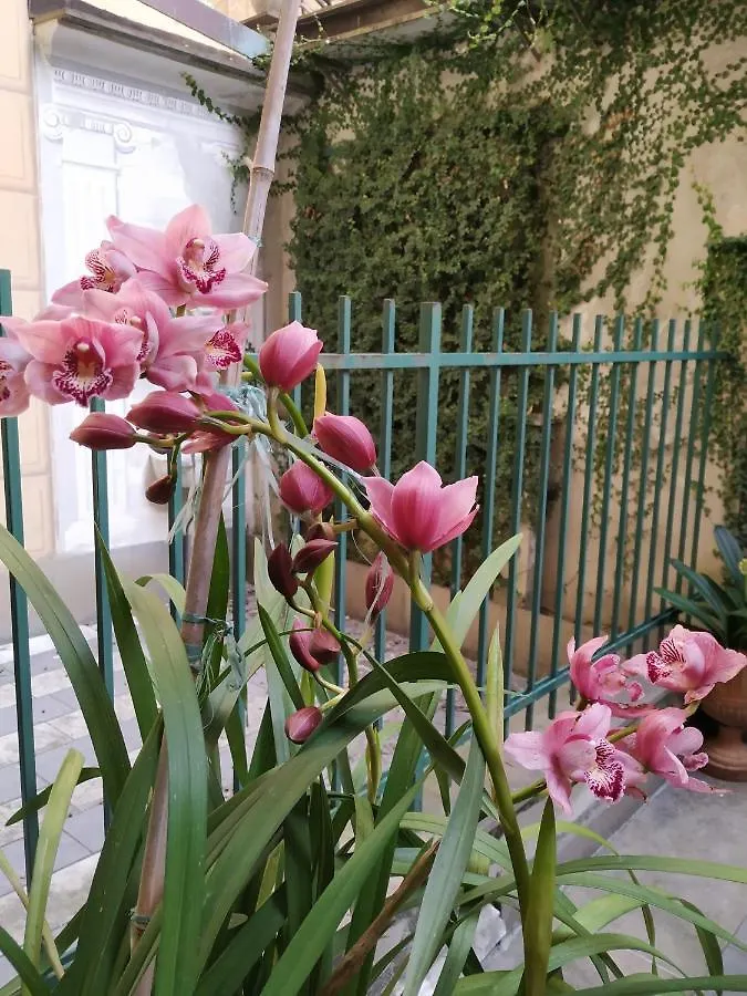 La Priaguea - House Beach Camogli Apartment